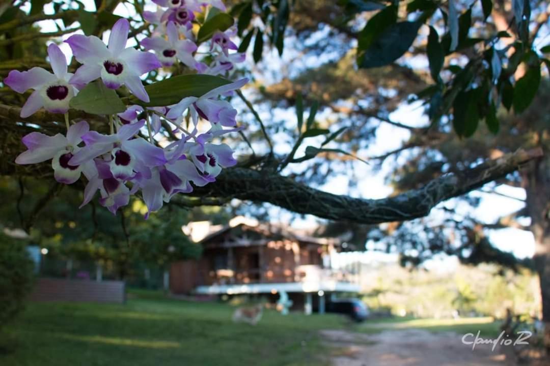 Linda Casa De Campo เวียเมา ภายนอก รูปภาพ